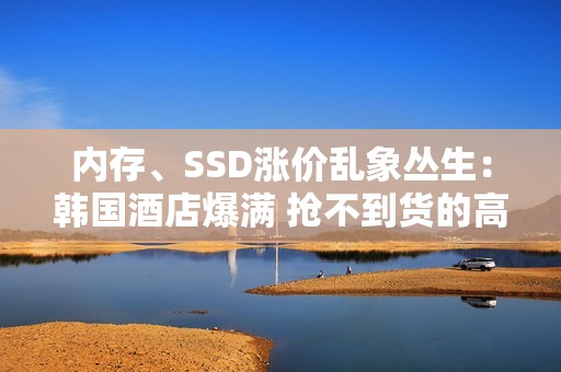 内存、SSD涨价乱象丛生：韩国酒店爆满 抢不到货的高管会被开除