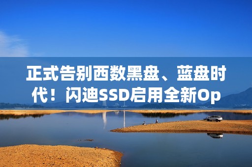 正式告别西数黑盘、蓝盘时代！闪迪SSD启用全新Optimus品牌