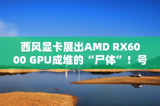 西风显卡展出AMD RX6000 GPU成堆的“尸体”！号称从不拒保