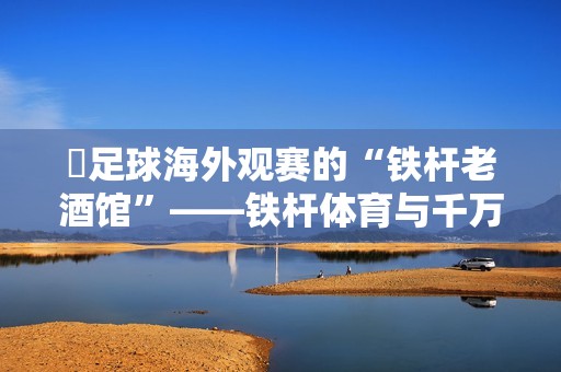 ​足球海外观赛的“铁杆老酒馆”——铁杆体育与千万球迷的十年