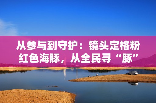 从参与到守护：镜头定格粉红色海豚，从全民寻“豚”到全民护“豚”