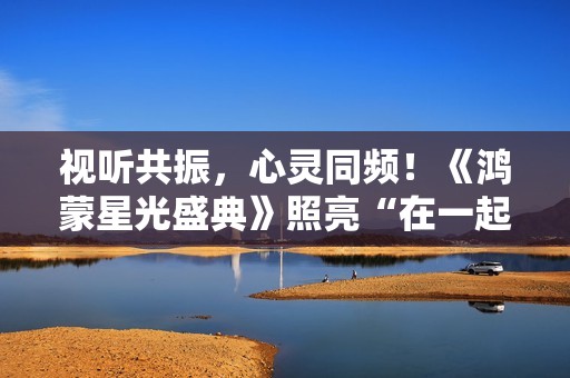 视听共振，心灵同频！《鸿蒙星光盛典》照亮“在一起”的心路