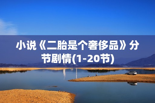 小说《二胎是个奢侈品》分节剧情(1-20节)
