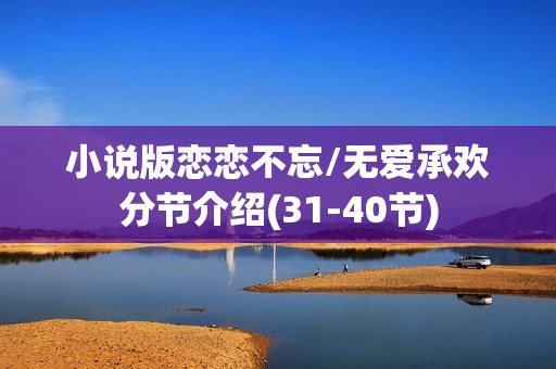 小说版恋恋不忘/无爱承欢分节介绍(31-40节)