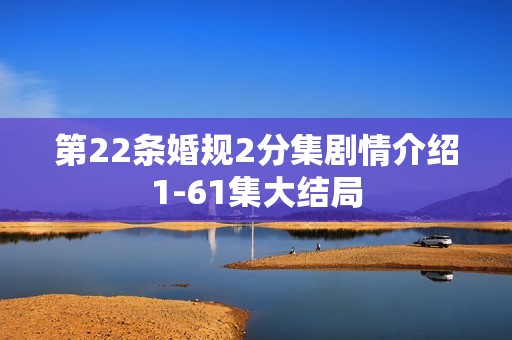第22条婚规2分集剧情介绍1-61集大结局
