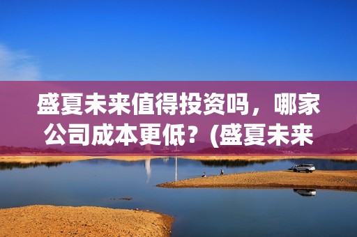盛夏未来值得投资吗，哪家公司成本更低？(盛夏未来赚钱了吗)