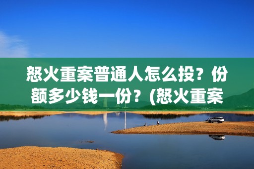 怒火重案普通人怎么投？份额多少钱一份？(怒火重案片断)