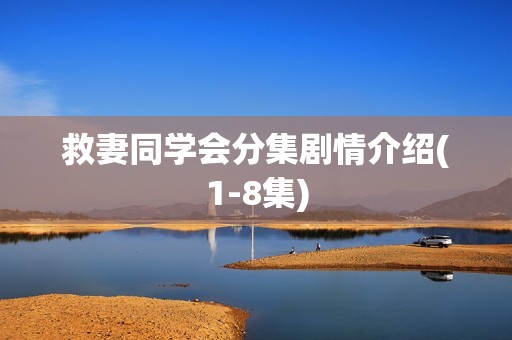 救妻同学会分集剧情介绍(1-8集)