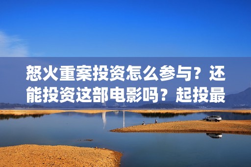 怒火重案投资怎么参与？还能投资这部电影吗？起投最低多少？(怒火重案投了多少钱)