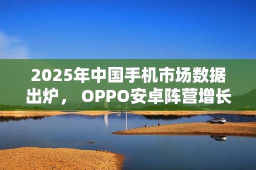 2025年中国手机市场数据出炉， OPPO安卓阵营增长第1名
