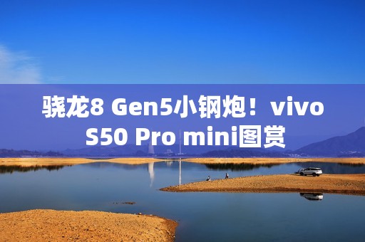 骁龙8 Gen5小钢炮！vivo S50 Pro mini图赏