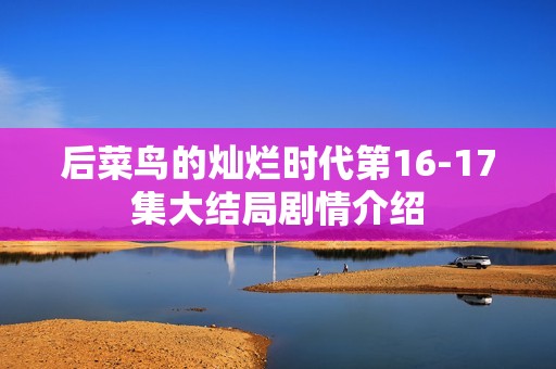 后菜鸟的灿烂时代第16-17集大结局剧情介绍