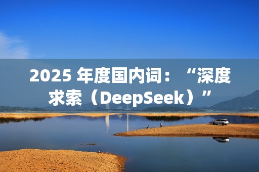 2025 年度国内词：“深度求索（DeepSeek）”