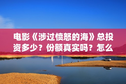 电影《涉过愤怒的海》总投资多少？份额真实吗？怎么参与投资？成本多少？(电影涉过愤怒的海演员表)