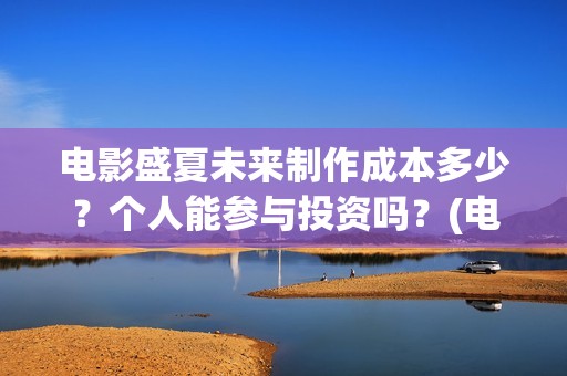 电影盛夏未来制作成本多少？个人能参与投资吗？(电影《盛夏未来》)