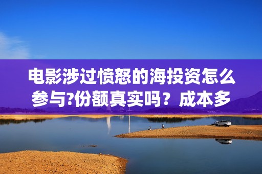 电影涉过愤怒的海投资怎么参与?份额真实吗？成本多少？(电影涉过愤怒的海演员表)