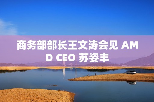 商务部部长王文涛会见 AMD CEO 苏姿丰