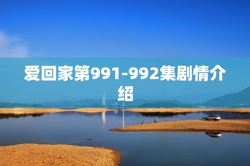 爱回家第991-992集剧情介绍