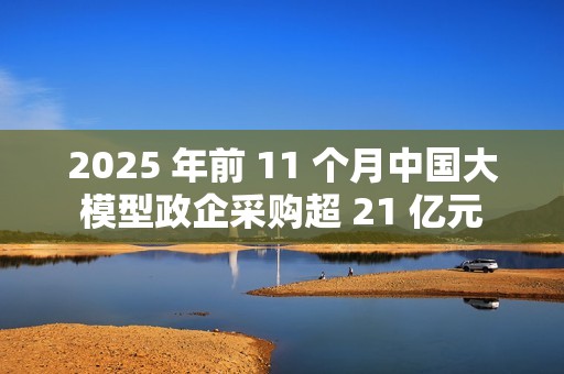2025 年前 11 个月中国大模型政企采购超 21 亿元