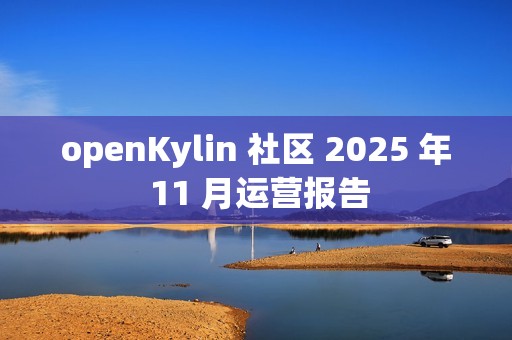 openKylin 社区 2025 年 11 月运营报告