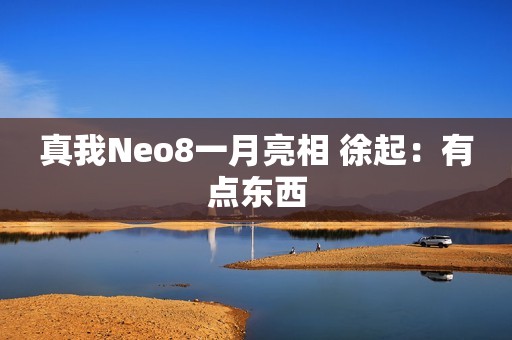 真我Neo8一月亮相 徐起：有点东西
