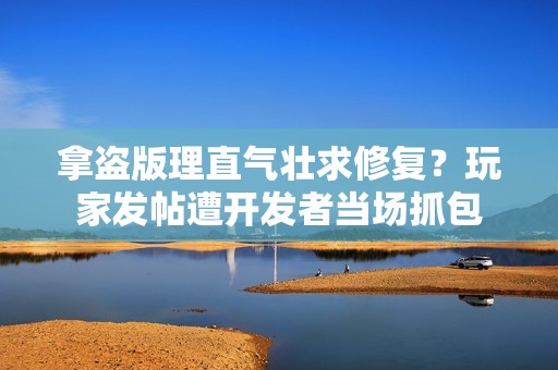 拿盗版理直气壮求修复？玩家发帖遭开发者当场抓包