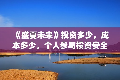 《盛夏未来》投资多少，成本多少，个人参与投资安全吗？(电影:盛夏未来)