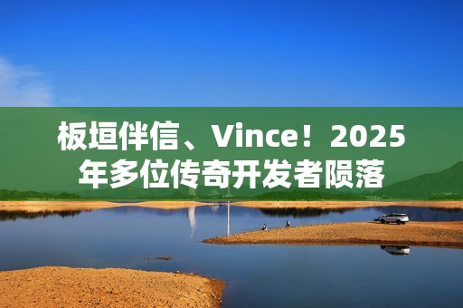 板垣伴信、Vince！2025年多位传奇开发者陨落