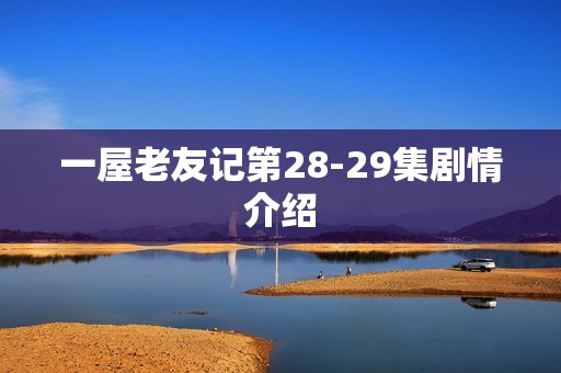 一屋老友记第28-29集剧情介绍