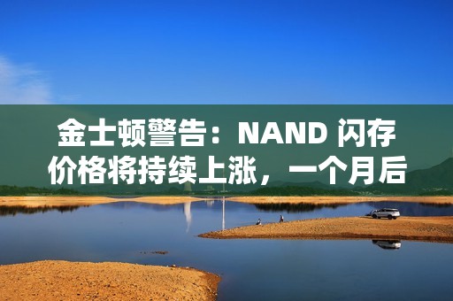 金士顿警告：NAND 闪存价格将持续上涨，一个月后更贵