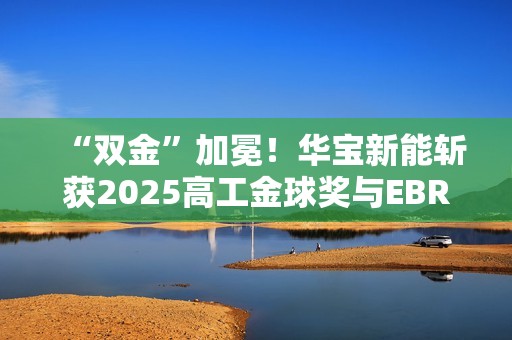 “双金”加冕！华宝新能斩获2025高工金球奖与EBRUN全球好物金奖