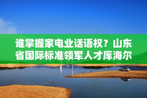 谁掌握家电业话语权？山东省国际标准领军人才库海尔占一半