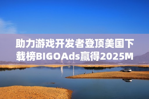 助力游戏开发者登顶美国下载榜BIGOAds赢得2025Morketing灵眸奖认可
