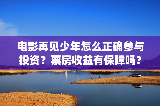 电影再见少年怎么正确参与投资？票房收益有保障吗？出品公司有实力吗(电影《再见少年》)