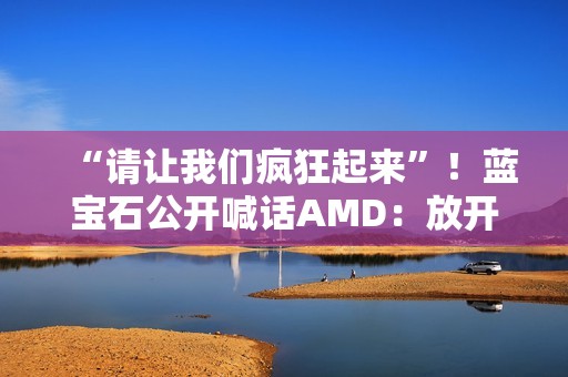 “请让我们疯狂起来”！蓝宝石公开喊话AMD：放开显卡限制