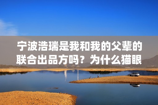 宁波浩瑞是我和我的父辈的联合出品方吗？为什么猫眼上没有？(宁波浩瑞气动)