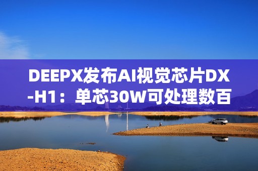 DEEPX发布AI视觉芯片DX-H1：单芯30W可处理数百路视频流
