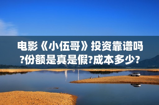 电影《小伍哥》投资靠谱吗?份额是真是假?成本多少?(电影 小伍哥)