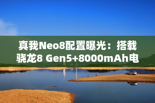真我Neo8配置曝光：搭载骁龙8 Gen5+8000mAh电池