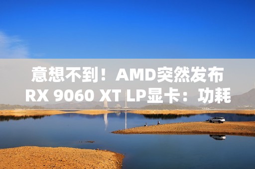 意想不到！AMD突然发布RX 9060 XT LP显卡：功耗降了