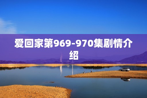 爱回家第969-970集剧情介绍