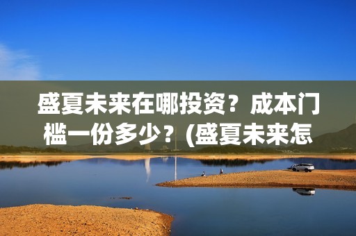 盛夏未来在哪投资？成本门槛一份多少？(盛夏未来怎么提前上映了)