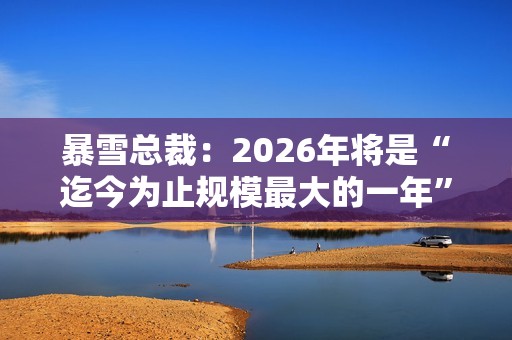 暴雪总裁：2026年将是“迄今为止规模最大的一年”！