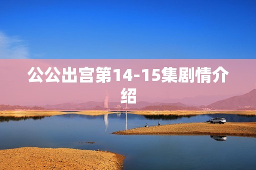 公公出宫第14-15集剧情介绍