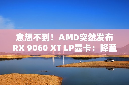 意想不到！AMD突然发布RX 9060 XT LP显卡：降至140W功耗