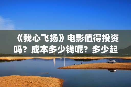 《我心飞扬》电影值得投资吗？成本多少钱呢？多少起投？(《我心飞扬》电影观后感)