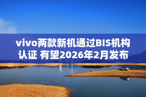 vivo两款新机通过BIS机构认证 有望2026年2月发布