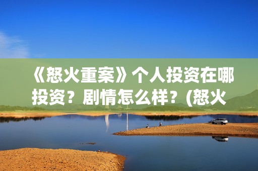 《怒火重案》个人投资在哪投资？剧情怎么样？(怒火重案太燃了)