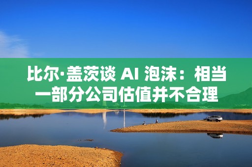 比尔·盖茨谈 AI 泡沫：相当一部分公司估值并不合理