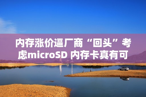 内存涨价逼厂商“回头”考虑microSD 内存卡真有可能重回手机吗？